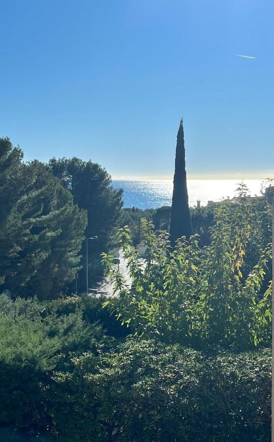 Bord De Mer + Piscine Sausset-les-Pins Eksteriør billede